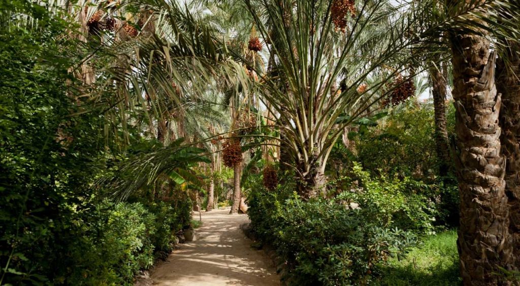 Tourisme tunisien : le Eden Palm